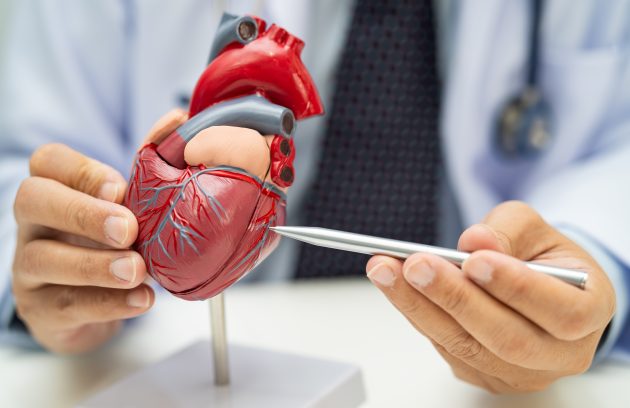 Cardiology at Health Med